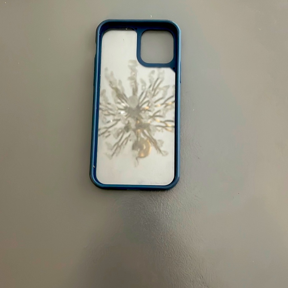 Apple IPhone 12 phone case